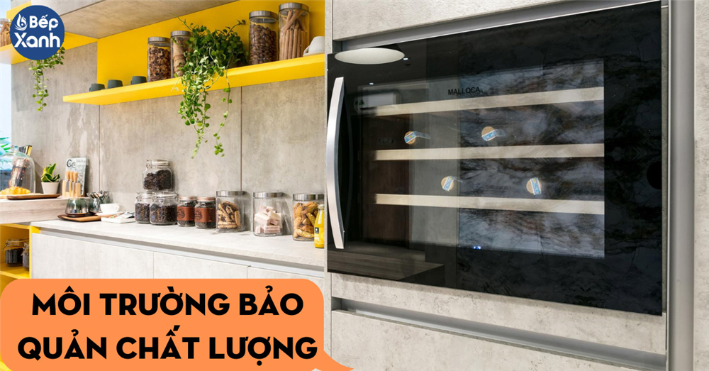 Tủ rượu Malloca môi trường bảo quản chất lượng