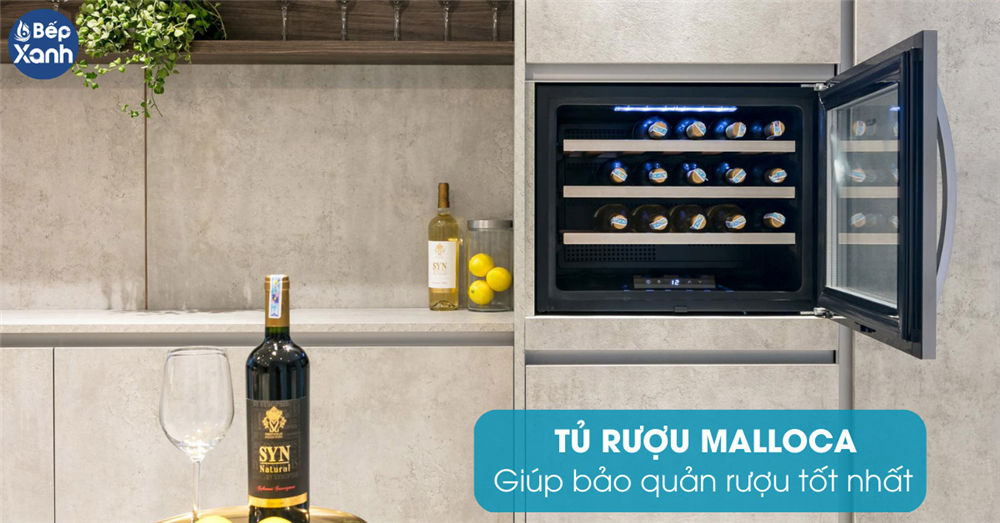 Tủ bảo quản rượu Malloca